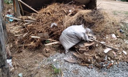 Prefeitura de Prata “cidade limpa e bem cuidada”