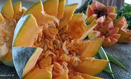 EM PRATA, PREFEITURA MUNICIPAL FAZ ENTREGA DE HORTIFRUTIS E BENEFICIA FAMÍLIAS CARENTES DO MUNICÍPIO