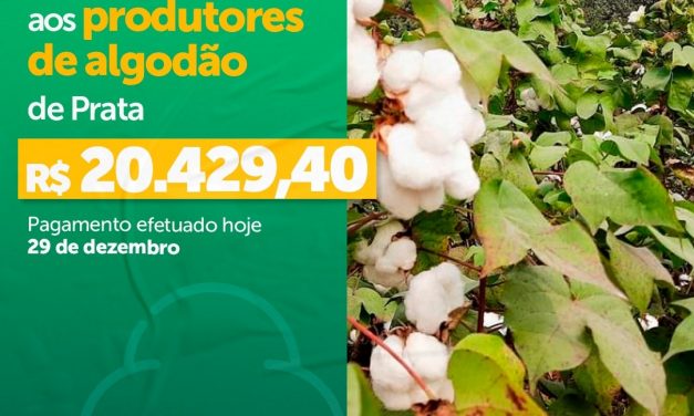 Prefeitura de Prata paga com recursos próprios subsídio aos produtores de algodão.