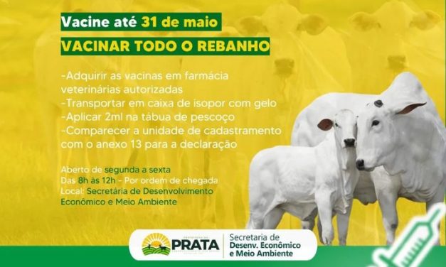 Prata inícia a campanha de vacinação contra a febre aftosa 2023.