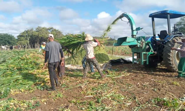 PREFEITURA DE PRATA OFERECE SERVIÇOS DE SILAGEM PARA PRODUTORES RURAIS