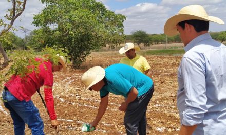 Produção Agroecológica: Prefeitura de Prata em parceria com o Sebrae e Magdala, da início o curso de repasse da Tecnologia Social Pais.