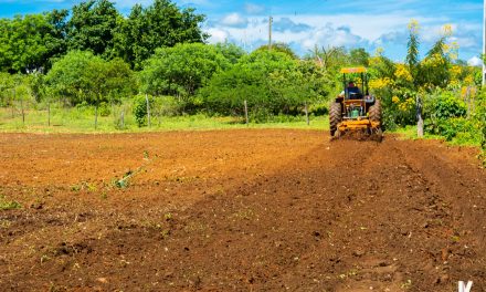 Prefeitura de Prata coloca corte de terras para os agricultores do município como prioridade com chegada das chuvas.