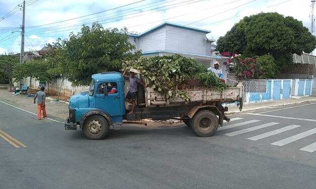 Prefeitura da Prata Mantém Limpeza Contínua das Ruas do Município