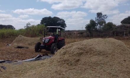 PREFEITURA DA PRATA INCENTIVA PRODUÇÃO AGRÍCOLA COM APOIO NA PRODUÇÃO DE SILAGEM